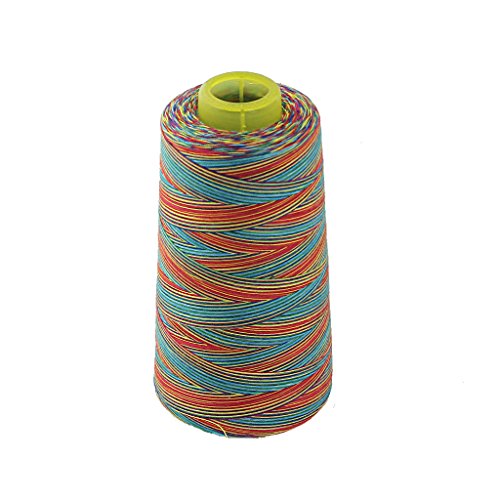 Polyester Nähgarn Nähgarne Nähmaschinengarn Spule Faden Nähmaschinen 40S/2 - Mehrfarbig Polyester Nähgarn Nähgarne Nähmaschinengarn Spule Faden Nähmaschinen 40S/2 - Mehrfarbig von Generic