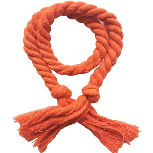 Raffhalter für Vorhänge, Seil, 2 Stück, handgefertigt, mit Quaste, Mehrfarbig, Vorhangschnallen, dekoratives Haushaltszubehör, handgefertigtes Baumwoll-Leinen-Seil (Orange) von Generic