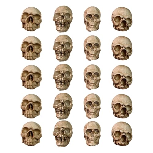 Resin Skull Figuren - viele 20 Mini-Skelette, erschreckende Halloween Dekorationen | Schädelköpfe für Witze, Terrarien, Blumentöpfe und Bürodekorationen Resin Skull Figuren - viele 20 Mini-Skelette, erschreckende Halloween Dekorationen | Schädelköpfe für Witze, Terrarien, Blumentöpfe und Bürodekorationen von Generic