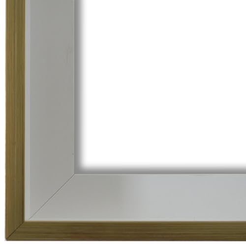 Schattenfugenrahmen Bilderrahmen Weiß Gold 10x10-10x10 cm - Modern, Shabby, Vintage - Alle Größen - handgefertigter Holz Rahmen für Bilder - Leinwand auf Keilrahmen oder Platte - Udine von Generic