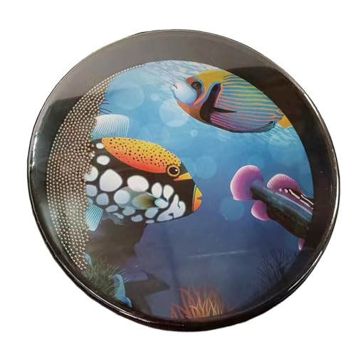 Sea Sound Percussion - Wiederverwendbare Ozeanwelle Effekt Musikalische Trommel, Metallperlen für Akustik | Lerninstrument inspirierende Musikfähigkeiten bei Indoor-Urlaubsaktivitäten Sea Sound Percussion - Wiederverwendbare Ozeanwelle Effekt Musikalische Trommel, Metallperlen für Akustik | Lerninstrument inspirierende Musikfähigkeiten bei Indoor-Urlaubsaktivitäten von Generic