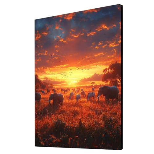 Sonnenuntergang Malen Nach Zahlen Erwachsene Tier Malen Nach Zahlen 60x80 cm DIY Basteln Erwachsene Klarheit Farbe Leinwan Bilder mit Acrylfarben Set 3 Typen Pinsel für Wanddeko Wohnzimmer 2YH-3256 von Generic