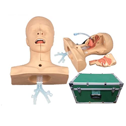 Sputum-Absaugübung, medizinisches Modell, multifunktionales Endotracheal-Intubations-Trainingsmodell, Atemwegsöffnungs-Ü von Generic
