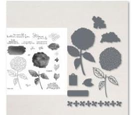 Stempel und Stanzformen für Kartenherstellung, Weihnachtsstempel und Stanzformen-Set für verschiedene Festivals, Alben, Scrapbooking, Geburtstage, Grußkarten (Stanz- und Stempel-Set) (YG5280) von Generic