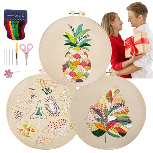 Stickerei-Set für Anfänger, Stickset für Anfänger für Erwachsene, 3-teiliges Hand-Kreuzstich-Set, Nadelspitzen-Kits mit Anleitung, Stickerei-Set für Frauen zu Hause von Generic