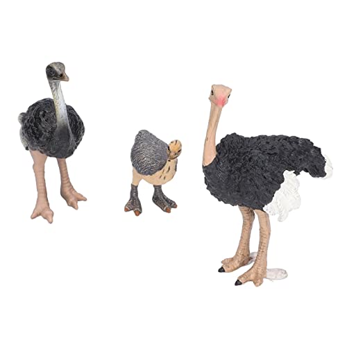 Strauß Gefüllte Tiere, Stofftiere Zoo Tiere Spielzeug StraußSpielzeug Stofftiere für Tiermodell Strauß Spielzeug Strauß Gefüllte Tiere, Stofftiere Zoo Tiere Spielzeug StraußSpielzeug Stofftiere für Tiermodell Strauß Spielzeug von Generic