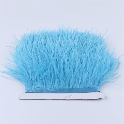 Straußenfeder-Bordüre, 6–18 cm, 9,1 m, natürliche Straußenfedern, Fransenbesatz, Kleidung, Nähen, Dekoration, 028, Himmelblau, 15-18 cm Straußenfeder-Bordüre, 6–18 cm, 9,1 m, natürliche Straußenfedern, Fransenbesatz, Kleidung, Nähen, Dekoration, 028, Himmelblau, 15-18 cm von Generic