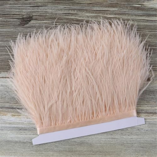 Straußenfeder-Bordüre, 8–10 cm, natürlich, flauschig, Straußenband, Dekoration für Partykleid, Nähzubehör, Champagner Straußenfeder-Bordüre, 8–10 cm, natürlich, flauschig, Straußenband, Dekoration für Partykleid, Nähzubehör, Champagner von Generic