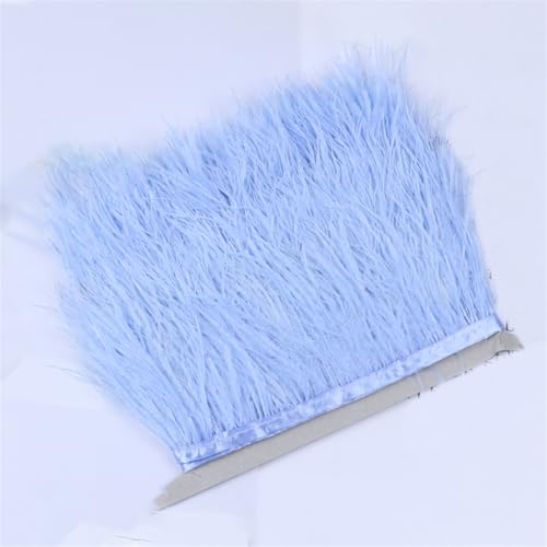 Straußenfeder-Bordüre, Fransen 6–8 cm lang, dekorative Federn, Band, Besatz, Kleidung, Nähen, Party-Zubehör, 27 Stück, Babyblau, 6-8 cm Straußenfeder-Bordüre, Fransen 6–8 cm lang, dekorative Federn, Band, Besatz, Kleidung, Nähen, Party-Zubehör, 27 Stück, Babyblau, 6-8 cm von Generic