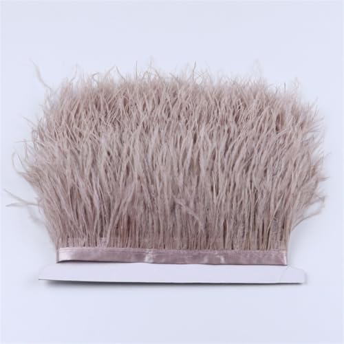 Straußenfeder-Bordüre, flauschige natürliche Straußenfedern, Fransenband, 6–18 cm, Hochzeitsparty, Kleid/Rock, Dekoration, 036, helles Pnnrk, 6–8 cm Straußenfeder-Bordüre, flauschige natürliche Straußenfedern, Fransenband, 6–18 cm, Hochzeitsparty, Kleid/Rock, Dekoration, 036, helles Pnnrk, 6–8 cm von Generic