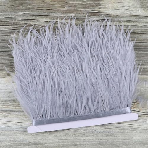 Straußenfeder-Bordüre für Bastelarbeiten, Hochzeitskleid, Handarbeit, Basteln, 8–10 cm, Silbergrau, 1 m Straußenfeder-Bordüre für Bastelarbeiten, Hochzeitskleid, Handarbeit, Basteln, 8–10 cm, Silbergrau, 1 m von Generic