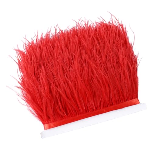 Straußenfeder-Bordüre für Bastelarbeiten, Hochzeitskleid, Handarbeit, Dekoration, handgefertigt, 8–10 cm, Rot Straußenfeder-Bordüre für Bastelarbeiten, Hochzeitskleid, Handarbeit, Dekoration, handgefertigt, 8–10 cm, Rot von Generic