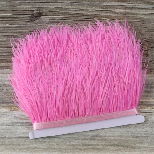 Straußenfeder-Bordüre für selbstgemachte Hochzeitskleider, Handarbeit, Bastelarbeiten, 1 m, 8–10 cm, Pnnrk Straußenfeder-Bordüre für selbstgemachte Hochzeitskleider, Handarbeit, Bastelarbeiten, 1 m, 8–10 cm, Pnnrk von Generic