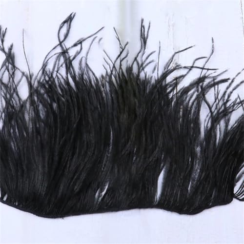 Straußenfedern, Fransenborte, Federband, für Handwerk, Kleid, Nähzubehör, schwarz, 10–15 cm, 1 m von Generic