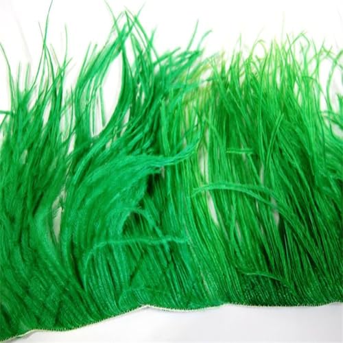Straußenfedern, Fransenborte, Federband für Handwerk, Kleid, Nähzubehör, EN8, 10–15 cm, 1 m von Generic