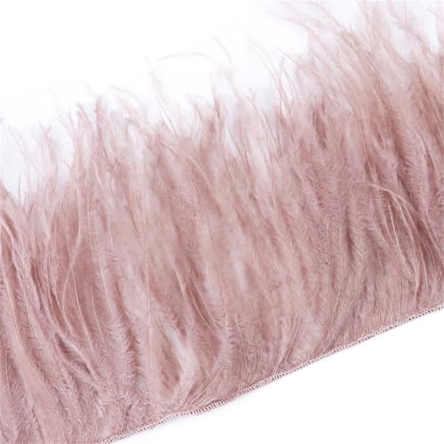 Straußenfedern, Fransenborte, Federband für Handwerk, Kleid, Nähzubehör, Leder, 10–15 cm, 1 m Straußenfedern, Fransenborte, Federband für Handwerk, Kleid, Nähzubehör, Leder, 10–15 cm, 1 m von Generic