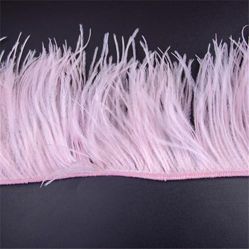 Straußenfedern, Fransenborte, Federband für Handwerk, Kleid, Nähzubehör, dunkel, 18–22 cm, 1 m Straußenfedern, Fransenborte, Federband für Handwerk, Kleid, Nähzubehör, dunkel, 18–22 cm, 1 m von Generic