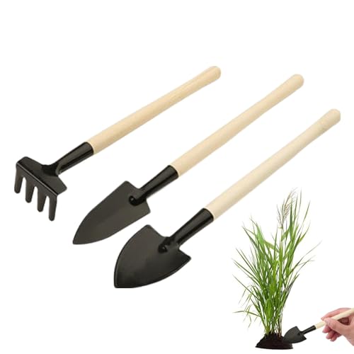 Sukkulenten-Werkzeug, Garten-Werkzeug-Set, Sukkulenten-Werkzeuge, Sukkulenten-Werkzeug-Set, Set mit Pflanz- und Lockerungsschaufeln, kleines Gartengerät für den Haushalt, Schaufel, Rechen, Spaten Sukkulenten-Werkzeug, Garten-Werkzeug-Set, Sukkulenten-Werkzeuge, Sukkulenten-Werkzeug-Set, Set mit Pflanz- und Lockerungsschaufeln, kleines Gartengerät für den Haushalt, Schaufel, Rechen, Spaten von Generic