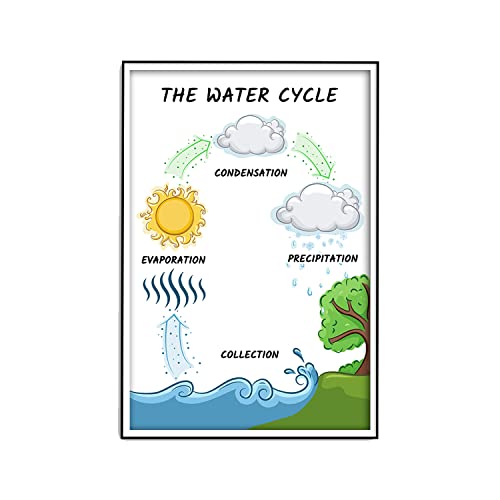 The Water Cycle – Wissenschaftliche Klassenzimmer-Dekorationen, 30,5 x 45,7 cm, Wissenschaftszubehör für Klassenzimmer, für High School, Mittelschule, Grundschule CPS045 The Water Cycle – Wissenschaftliche Klassenzimmer-Dekorationen, 30,5 x 45,7 cm, Wissenschaftszubehör für Klassenzimmer, für High School, Mittelschule, Grundschule CPS045 von Generic