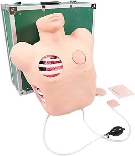 Thorakozentese-Drainage-Modell, medizinische Wissenschaft, anatomisches Modell, Übungsmodell für Brusthöhlendrainage, BO von Generic