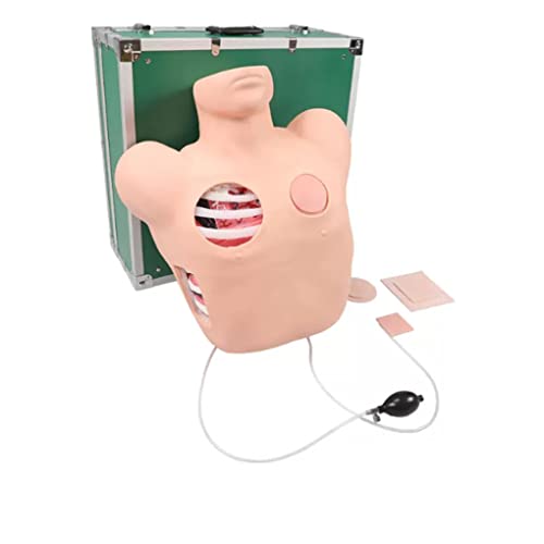 Thorakozentese-Trainingspuppe, simuliertes menschliches Dummy-Pneumothorax-Drainagemodell nach Thoraxtrauma, geschlossen von Generic