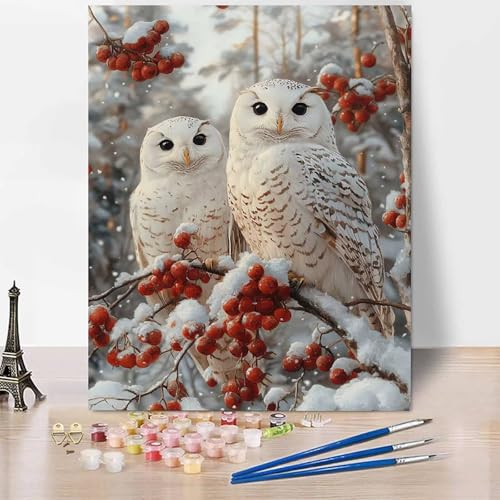 Tier Malen Nach Zahlen Erwachsene Eule Malen Nach Zahlen Kreativ Set Erwachsene 100x135cm, Leinwand Ölgemälde Bastelset mit Pinsel und Farben für Zimmer Deko, Geschenke für Frauen, Ohne Rahmen -XY90V von Generic
