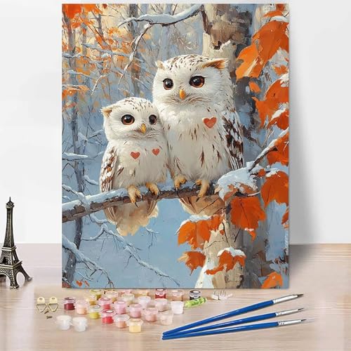 Tier Malen Nach Zahlen Erwachsene Eule Malen Nach Zahlen Kreativ Set Erwachsene 20×30cm, Leinwand Ölgemälde Bastelset mit Pinsel und Farben für Zimmer Deko, Geschenke für Frauen, Ohne Rahmen -XY47P von Generic