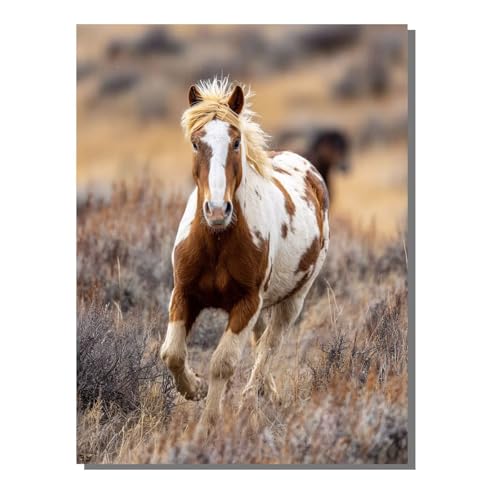 Tier Malen Nach Zahlen Erwachsene Mit Rahmen, Malen Nach Zahlen Pferd 80x110 cm DIY Painting Set Mit 3 Pinseln und 36 Acrylfarbe, Paint by Numbers für Deko Wohnzimmer, Geschenke für Frauen ZBSDK81 Tier Malen Nach Zahlen Erwachsene Mit Rahmen, Malen Nach Zahlen Pferd 80x110 cm DIY Painting Set Mit 3 Pinseln und 36 Acrylfarbe, Paint by Numbers für Deko Wohnzimmer, Geschenke für Frauen ZBSDK81 von Generic