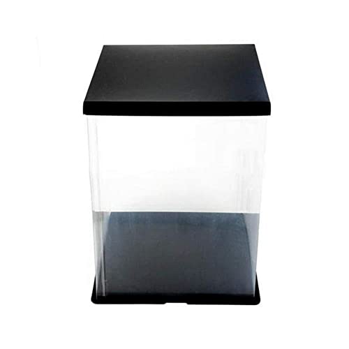 Transparente leere Geschenkbox für Frauen, Valentinstag, Hochzeit, Weihnachten, Bär, Rosen, Geschenk, W9K9, 17 x 17 x 29 cm, künstlich Transparente leere Geschenkbox für Frauen, Valentinstag, Hochzeit, Weihnachten, Bär, Rosen, Geschenk, W9K9, 17 x 17 x 29 cm, künstlich von Generic