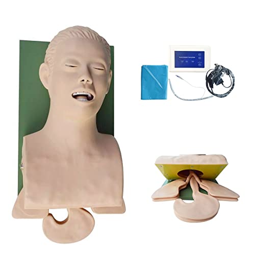 Übungsmodell Trachealintubations-Trainingssimulator, Modell 110–220 V, Übungsmodell für den Schulungsmodus für Krankensc von Generic