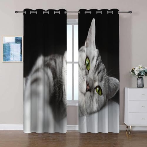 Verdunkelungsvorhänge Tierische Graue Katze Vorhang mit ösen Blickdichte Thermo Kälteschutz Vorhänge Kinderzimmer Schlafzimmer Verdunkelung Fenster, 2 Stück B75 x H166 cm Verdunkelungsvorhänge Tierische Graue Katze Vorhang mit ösen Blickdichte Thermo Kälteschutz Vorhänge Kinderzimmer Schlafzimmer Verdunkelung Fenster, 2 Stück B75 x H166 cm von Generic