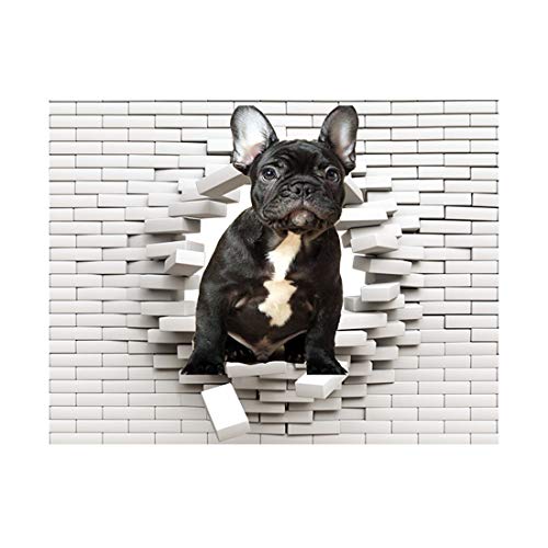 Wandtattoo, Motiv: Französische Bulldogge mit Loch in der Wand, selbstklebend, 85cm x 64cm von Generic