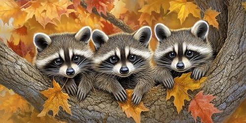 Waschbär Diamond Painting, Diamond Painting Erwachsene, Tier Alle Bohrer Rund Kristall Cross Stickerei Mosaikherstellung Leinwand Malerei Kits Anfänger Kinder, Hause Wand Dekoration 200x100cm T-z385 Waschbär Diamond Painting, Diamond Painting Erwachsene, Tier Alle Bohrer Rund Kristall Cross Stickerei Mosaikherstellung Leinwand Malerei Kits Anfänger Kinder, Hause Wand Dekoration 200x100cm T-z385 von Generic