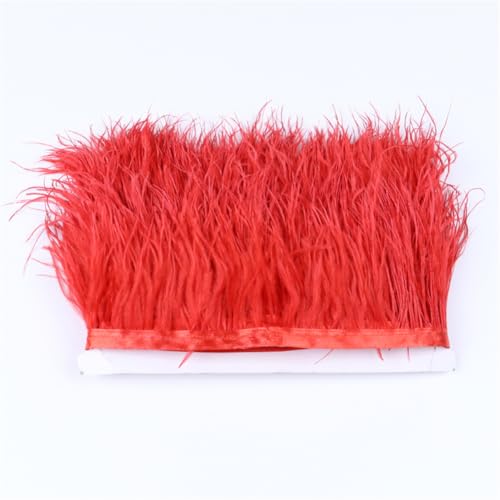 Weiches, flauschiges Straußenfeder-Band, natürliche Federn, Fransen, 6–22 cm, Hochzeitskleider, Nähzubehör, 6–8 cm, Rot, 1 Meter Weiches, flauschiges Straußenfeder-Band, natürliche Federn, Fransen, 6–22 cm, Hochzeitskleider, Nähzubehör, 6–8 cm, Rot, 1 Meter von Generic