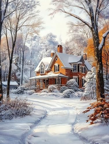 Winter Diamond Painting Kinder, Häuser Diamond Painting Erwachsene, 5D DIY Diamant Malerei Basteln Set für Kinder, Eckige Full Drill Crystal Art Basteln Kits für Home Wand Dekoration 30x40cm,Model 171 von Generic