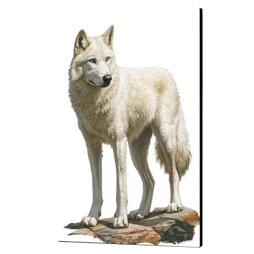 Wolf Malen Nach Zahlen Erwachsene Tier Malen Nach Zahlen 135 x 100CM DIY Basteln Erwachsene Klarheit Farbe Leinwan Bilder mit Acrylfarben Set 3 Typen Pinsel für Wanddeko Wohnzimmer, Geschenke 2YH-7400 Wolf Malen Nach Zahlen Erwachsene Tier Malen Nach Zahlen 135 x 100CM DIY Basteln Erwachsene Klarheit Farbe Leinwan Bilder mit Acrylfarben Set 3 Typen Pinsel für Wanddeko Wohnzimmer, Geschenke 2YH-7400 von Generic