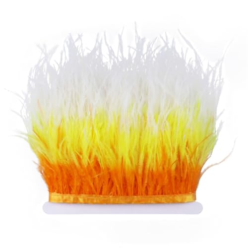 Zweifarbige Straußenfeder-Bordüre, Fransen, 10–15 cm, flauschige Straußenfedern, Besatz für Dekoration, 3 x 10 m von Generic
