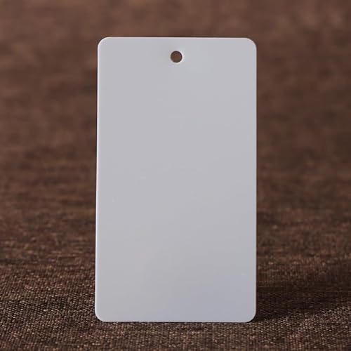 100 Stück farbige Kunststoffanhänger, Kunststoffseil, PVC-Kunststoffkarten, blank wasserdicht, Etiketten, Stoffetiketten, PVC-Anhänger (Grau, 100 Stück) von Genérico
