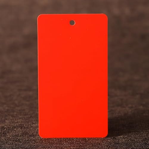 100 Stück farbige Kunststoffanhänger, Kunststoffseil, PVC-Kunststoffkarten, blankes, wasserdichtes Etikett, Etiketten, PVC-Anhänger (rot, 100 Stück) von Genérico