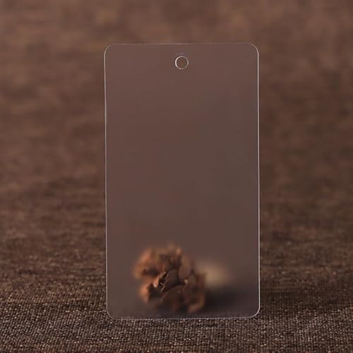 100 Stück farbige Kunststoffanhänger, Kunststoffseil, PVC-Kunststoffkarten, blankes, wasserdichtes Etikett, Etiketten, PVC-Anhänger (transparent, 100 Stück) von Genérico