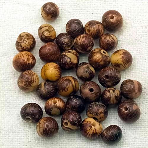 Perlen für Schmuckherstellung, 150 natürliche Asai-Samen, handgetönt, 5-8 mm, Durchgangsloch, 1,5 mm (Natur) von Genérico