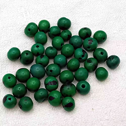 Schmuck-Perlen, 150 Stück, natürliche Asai-Samen, handbemalt, 5-8 mm, Durchgangsloch, 1,5 mm, Grün von Genérico