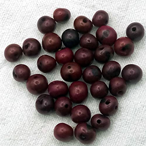 Schmuck-Perlen, 150 Stück, natürliche Asai-Samen, handbemalt, 5-8 mm, Durchgangsloch, 1,5 mm (Granat) von Genérico