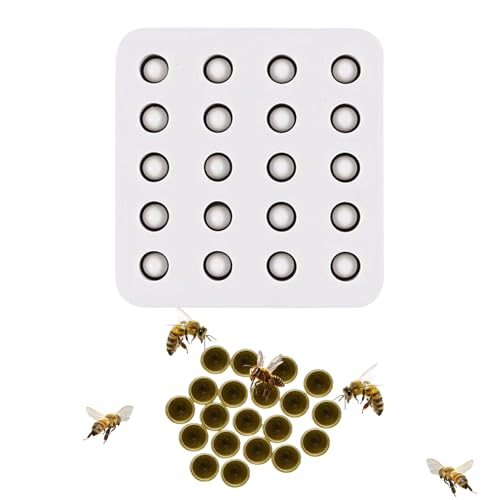 Bienenpfropfform – Bienenkäfig mit 20 Löchern, Stabilisierungswerkzeug aus Silikon, für manuelle Bienenzucht in der Stadt, kommerziell und landwirtschaftlich Bienenpfropfform – Bienenkäfig mit 20 Löchern, Stabilisierungswerkzeug aus Silikon, für manuelle Bienenzucht in der Stadt, kommerziell und landwirtschaftlich von Générique
