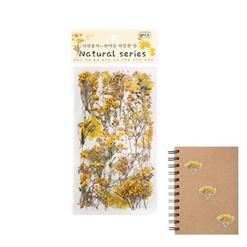 Blumenaufkleber – Blumenaufkleber für die | Pattern Springs Summers Floral Decals | Natürliche dekorative Retro-Aufkleber | wasserfeste Pflanze und Blumenaufkleber Blumenaufkleber – Blumenaufkleber für die | Pattern Springs Summers Floral Decals | Natürliche dekorative Retro-Aufkleber | wasserfeste Pflanze und Blumenaufkleber von Générique