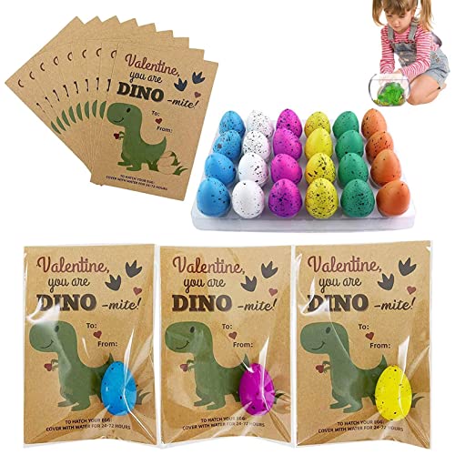 Brute Toy-24 Packung Dinosaur Breeding Eggs, Eier, die im Wasser schlüpfen, lernen, dass das Geschenk der Party für sie, Valentinstagsgeschenke von 3 Jahren von Générique