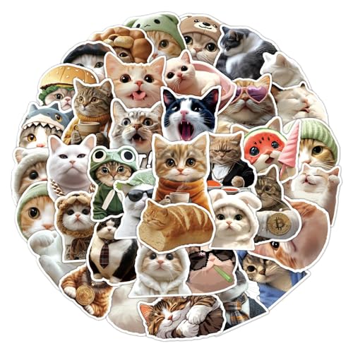 Dekorative Tieraufkleber – Aufkleber für niedliche Katze, Dekoration, Internet-Motiv, 50 dekorative Aufkleber für Zubehör und Bürobedarf Dekorative Tieraufkleber – Aufkleber für niedliche Katze, Dekoration, Internet-Motiv, 50 dekorative Aufkleber für Zubehör und Bürobedarf von Générique