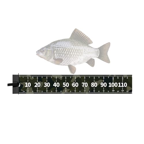 Fischnetz-Matte, präzise wasserdichte Angel-Messmatte, tragbare Fischnetzmatte, Angelzubehör für Karpfenangeln Europas, wasserdicht, zum Messen Fischnetz-Matte, präzise wasserdichte Angel-Messmatte, tragbare Fischnetzmatte, Angelzubehör für Karpfenangeln Europas, wasserdicht, zum Messen von Générique