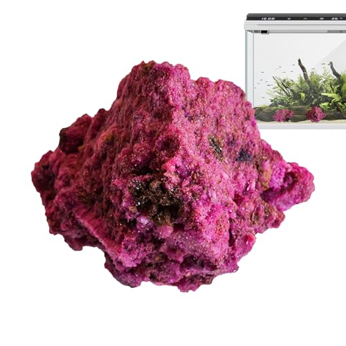 Générique Decorative Stones, Aquarium Rock Decor, Mineral Specimens, Polished Crystals, Multi Colored Small Stones for Collection, Desktop Display, Garden Arrangement, Home, Living Room von Générique
