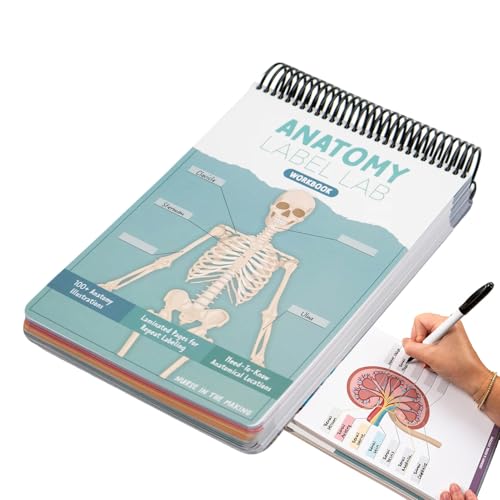 Générique Wiederverwendbares Anatomy Label Workbook, Human Structure Notepad, illustrierte medizinische Terminologie-Anleitung, Study Aid für Studenten, Nurses Ärzte, Healthcare Professionals von Générique